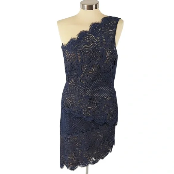 BCBGMAXAZRIA Alisha One Shoulder Navy Lace Dress Size 8 Pristine Condition - Picture 4 of 15